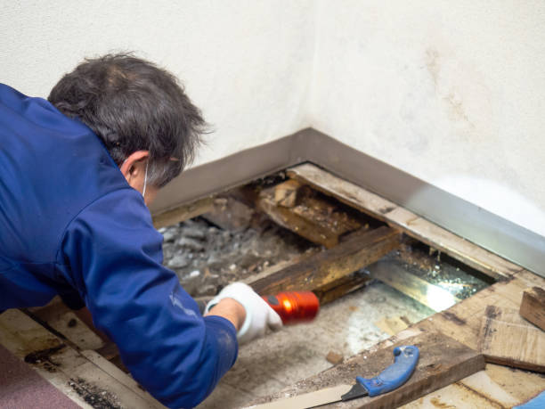 Best Mold Testing  in Humboldt, KS