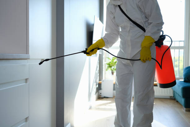 Best Mold Testing and Removal  in Humboldt, KS