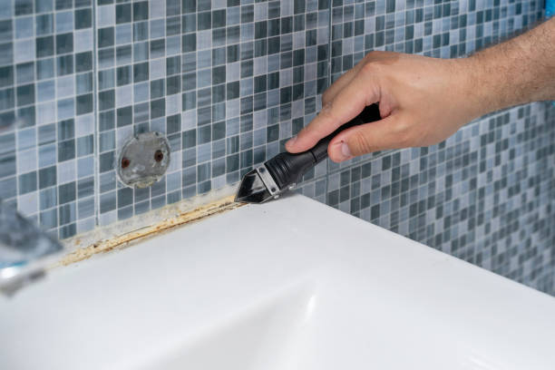 Best Home Mold Removal  in Humboldt, KS