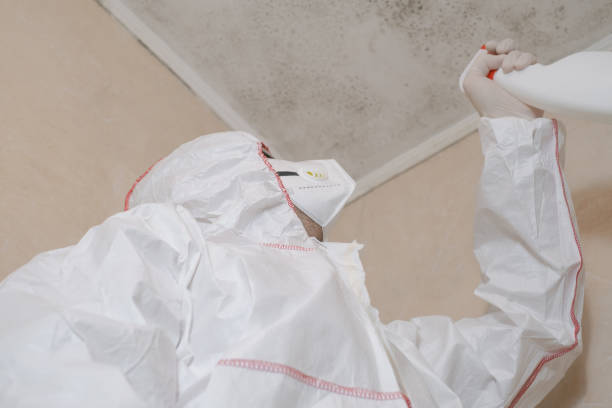 Best Best Mold Removal Companies  in Humboldt, KS